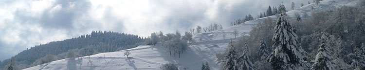 Winter im Schwarzwald